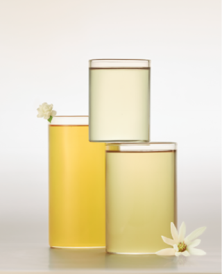 茉莉奶白 – 中国领先的花茶品牌 手工花艺