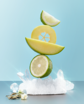 茉莉奶白 – 中国领先的花茶品牌 | 手工花艺