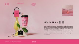 关于我们 – 茉莉奶白